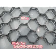 Ss304 Ss410 capa de tortuga hexagonal grosor neto 2.2mm / Ss 304 Hex Net fábrica profesional